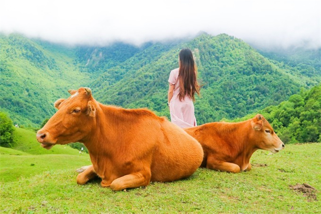 干海子.jpg